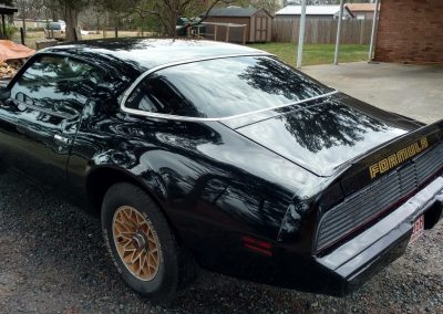 The Phoenix Rises Again